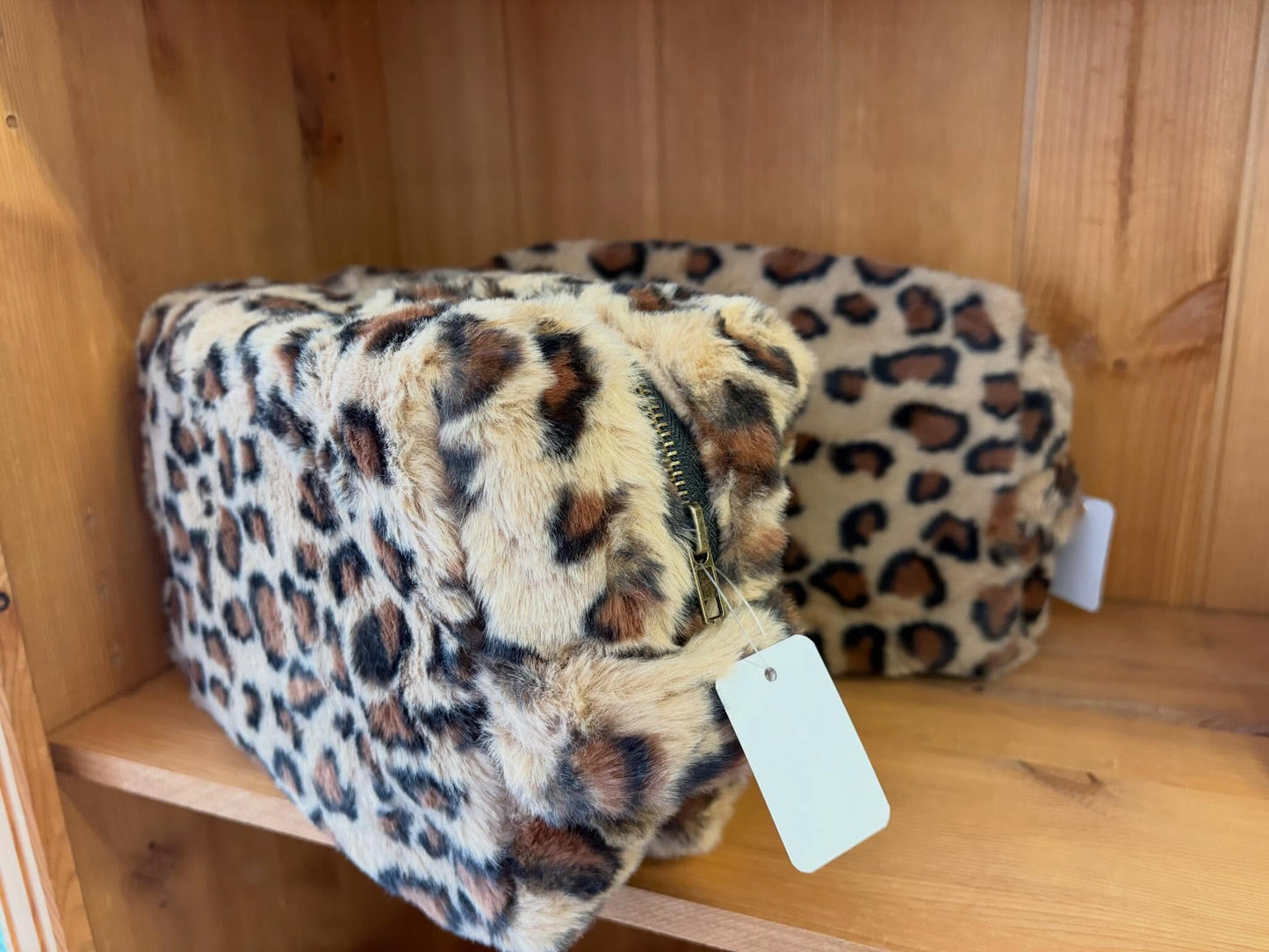 Leo Beauty Case