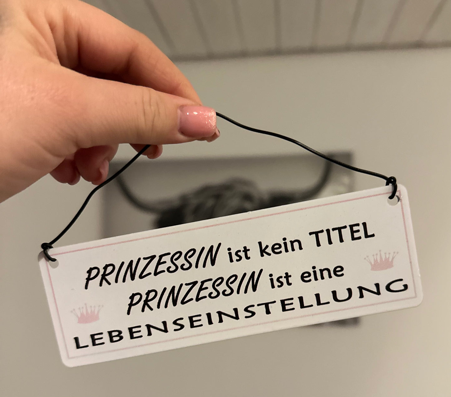 Blechschild „Lebenseinstellung“