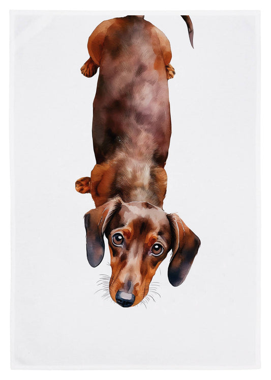 Miss Cotton - Geschirrtuch, Dackel