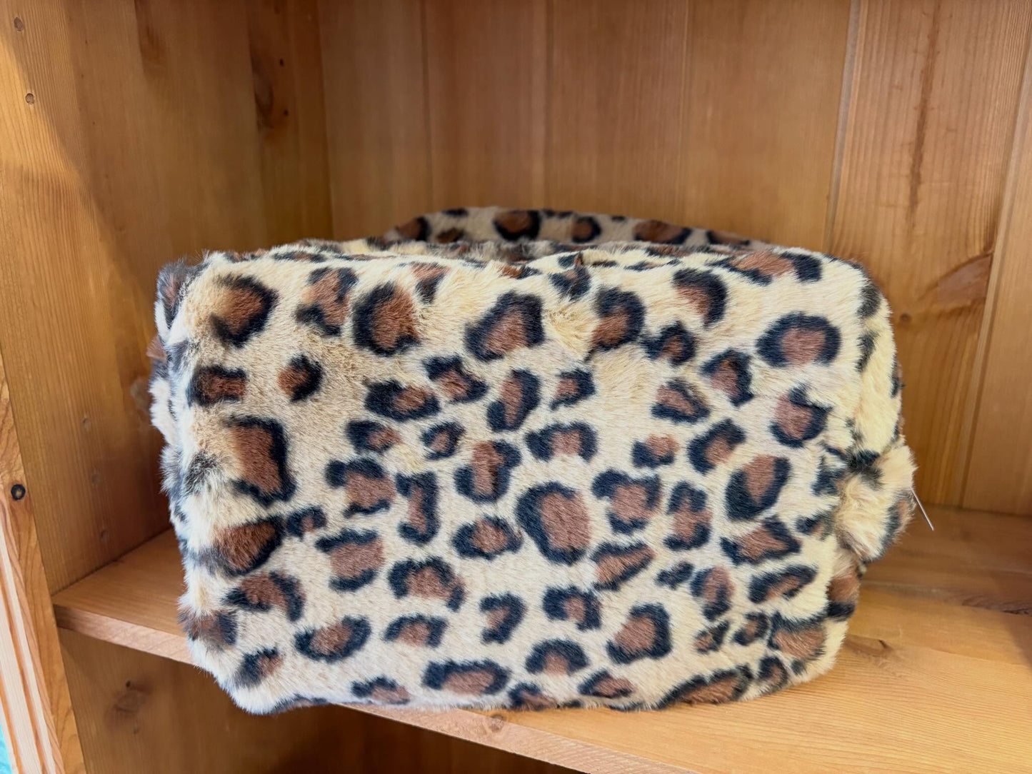 Leo Beauty Case